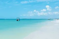 Clearwater Beach Private Pontoon Boat Tour thumbnail 3