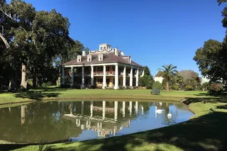 New Orleans Airboat and Plantations Tour with Gourmet Lunch