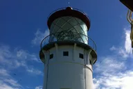 Kauai Fern Grotto River Cruise & Lighthouse Tour thumbnail 6