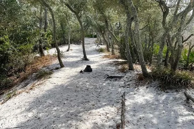 Florida Backcountry Camping Adventure - Image 5