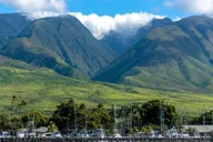 Maui Dolphin Watch Eco-Raft Tour 2 hr thumbnail 5