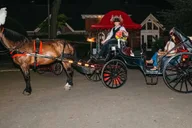 New York City Moonlight Horse Carriage Ride thumbnail 5
