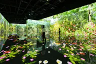 Las Vegas ARTE Museum Immersive Art Experience thumbnail 2