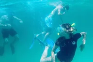 Destin Snorkeling and Dolphin Cruise thumbnail 2
