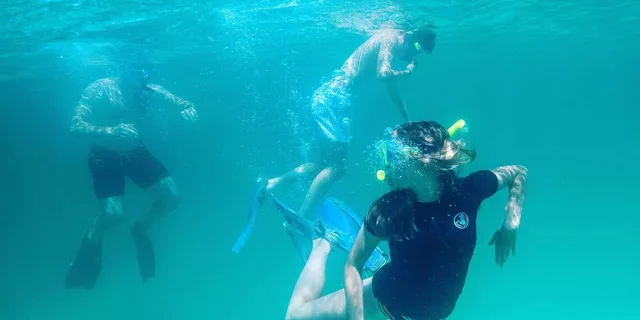 Destin Snorkeling and Dolphin Cruise - Image 2