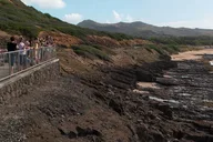 Oahu Circle Island Tour thumbnail 5