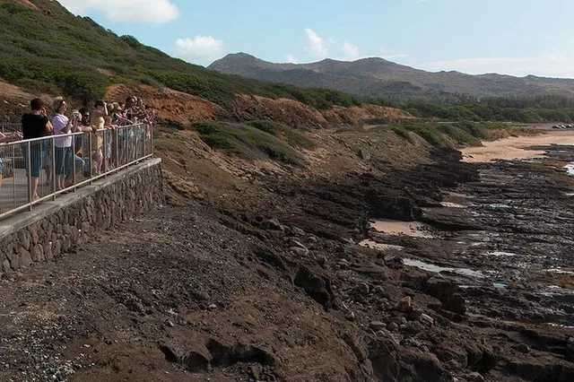 Oahu Circle Island Tour - Image 5