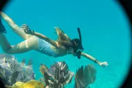 Key West Sandbar and Snorkeling Charter thumbnail 3