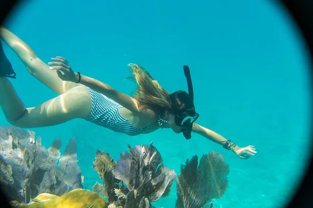 Key West Sandbar and Snorkeling Charter - Image 3
