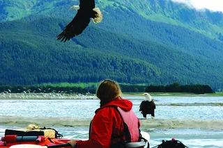 Juneau Mendenhall Glacier Sea Kayaking 3.5 Hr