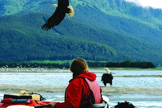 Juneau Mendenhall Glacier Sea Kayaking 3.5 Hr - Image 1