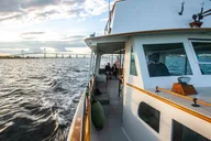 Newport Mimosa Cruise thumbnail 3