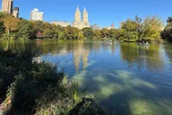 New York City Central Park Pedicab Tour thumbnail 4