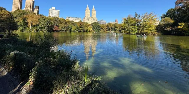 New York City Central Park Pedicab Tour - Image 4