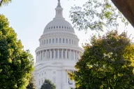 Washington DC Bus Tour with Capitol and Archives Access thumbnail 1
