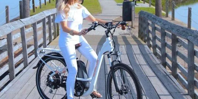 Charleston E-Bike Tour of Low Country and Shores - Image 4