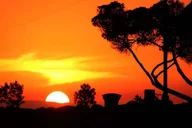 Newport Beach Sunset Cruise thumbnail 5