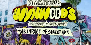 Miami Graffiti & Street Art Tour in Wynwood 2 hr