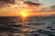 Kawaihae Sunset Sightseeing Cruise thumbnail 1
