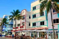 Miami City SUV Tour thumbnail 6