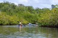 Miami Clear Kayak Eco Tour thumbnail 6