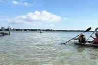 Tarpon Springs Clear Kayak Tour thumbnail 3