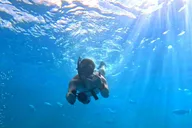 Waikiki Turtle Snorkeling Tour thumbnail 4