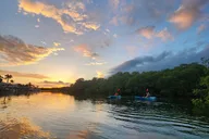 Tavernier Kayak Tour at Sunset 2 hr thumbnail 6