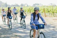 Napa Valley E-Bike Winery Tour with Picnic Lunch thumbnail 2