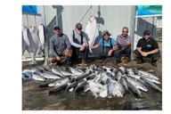 Ketchikan Salmon and Halibut Fishing Charter thumbnail 5