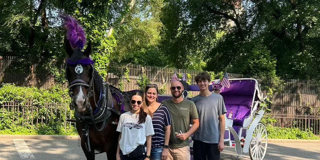 New York City Central Park Horse Carriage Ride - Image 3