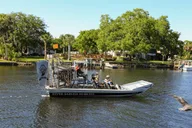 Homosassa Airboat Ride and Dolphin Watching thumbnail 5