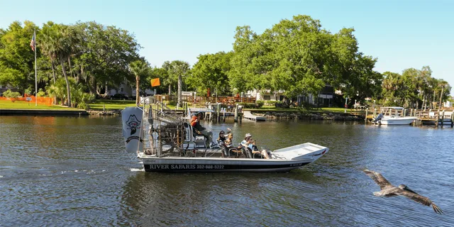 Homosassa Airboat Ride and Dolphin Watching - Image 5