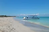Treasure Island Dolphin and Snorkeling Tour thumbnail 3