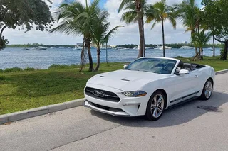 Miami Convertible Mustang Tour