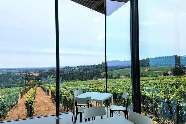 Oregon Wine Tour with Lunch Stop - Image 1