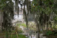 New Orleans Darkside Tour: Spirits, Vampires, and Voodoo 2 hr thumbnail 4