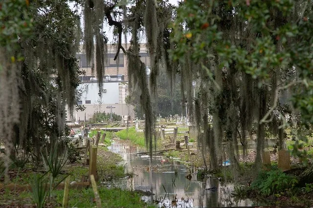 New Orleans Darkside Tour: Spirits, Vampires, and Voodoo 2 hr - Image 4