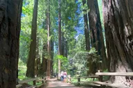 San Francisco Muir Woods Private Jeep Tour 3 hr thumbnail 5