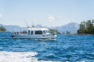 Ketchikan Halibut and Salmon Fishing Charter thumbnail 3