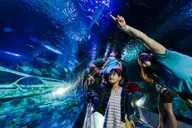 Phoenix SEA LIFE Aquarium Admission thumbnail 1