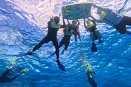 Oahu Snorkeling Adventure with Turtle and Water Scooter thumbnail 3