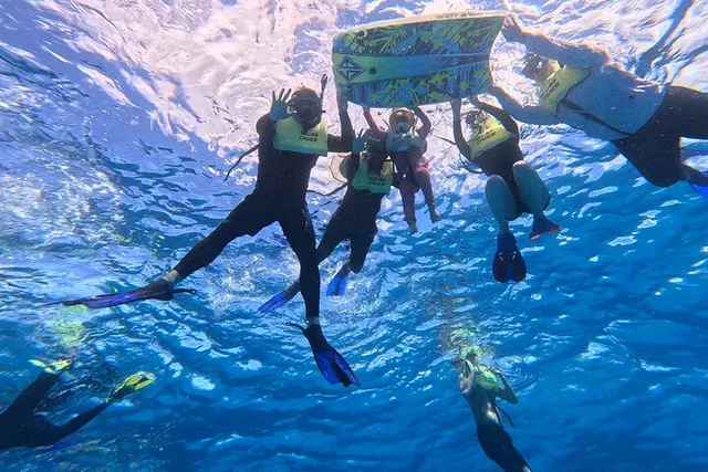 Oahu Snorkeling Adventure with Turtle and Water Scooter - Image 3
