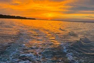 Destin Dolphin Cruise at Sunset 2 hr thumbnail 2