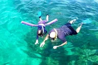 Miami Snorkeling Adventure from South Beach thumbnail 1