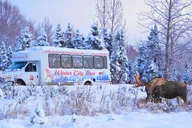 Anchorage Winter City Tour thumbnail 1