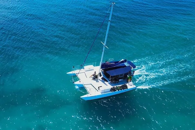 Honolulu Whale Watching Tour - Image 6