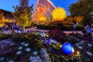 Seattle Chihuly Garden and Glass Tour thumbnail 1