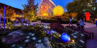 Seattle Chihuly Garden and Glass Tour
