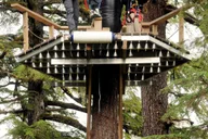 Ketchikan Rainforest Canopy Zipline Adventure thumbnail 1